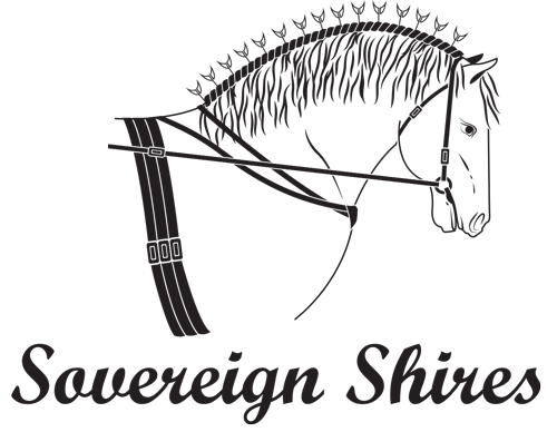 Sovereign Shires in Maroon, Farm Stay Accommodation featuring Queenslander home, shire horses and kangaroos